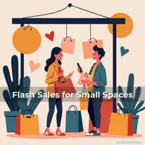 Artistic representation for Flash Sales for Small Spaces